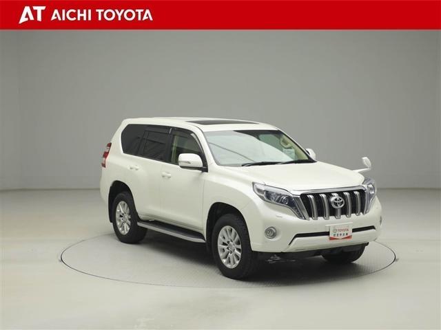 ランドクルーザープラド ＴＺ－Ｇ　ワンオーナー車　１００Ｖ電源　横滑り防止装置　ナビ＆ＴＶ　ＬＥＤライト　オートクルーズコントロール　ミュージックプレイヤー接続可　パワーウィンドウ　電動シート　アルミホイール　３列シート　メモリーナビ（8枚目）