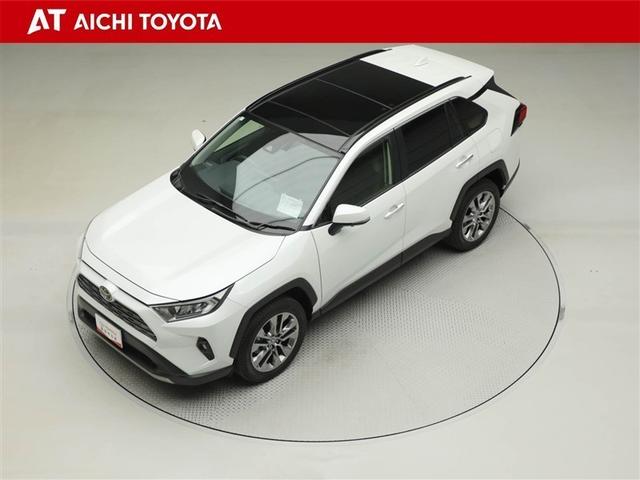ＲＡＶ４ Ｇ　Ｚパッケージ　インテリジェントクリアランスソナー　パノラマルーフ　ＡＷＤ　ＬＥＤライト　アルミホイル　オートクルーズ　横滑り防止装置　バックガイドモニター　盗難防止装置　デュアルエアバッグ　キーレス　パワーシート（10枚目）
