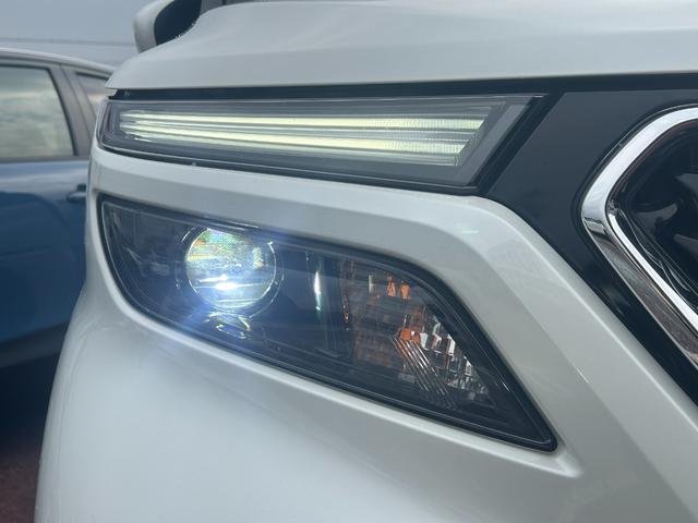 �k�d�c�w�b�h���C�g