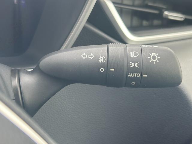 �I�[�g���C�g