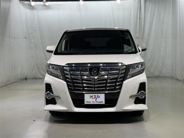 �A���t�@�[�h�Ȃ�ł͂̑�_���A�N�̂���؂₩�������o���Ă��܂��B