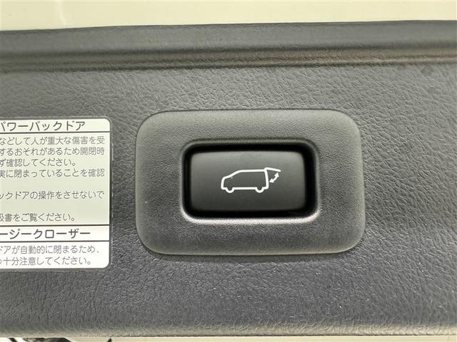 �y�p���[�o�b�N�h�A�z�{�^����Ńe�[���Q�[�g�������ŊJ���܂��B