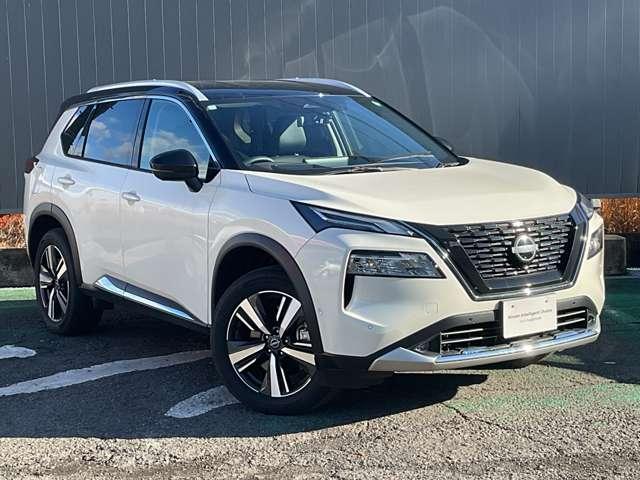 �X�^�C���b�V���Ȃr�t�u�f�U�C�������͂̃G�N�X�g���C���ł��B��v�����ۗ��{�f�B�J���[�ł��B