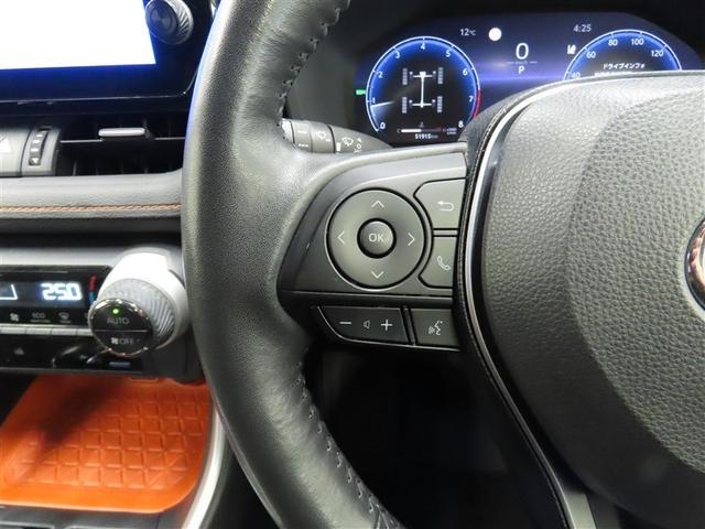 ＲＡＶ４ アドベンチャー　４ＷＤ　サンルーフ　フルセグ　バックカメラ　ミュージックプレイヤー接続可　衝突被害軽減システム　ＥＴＣ　電動シート　スマートキー　ＬＥＤヘッドランプ　オートクルーズコントロール　キーレス（34枚目）