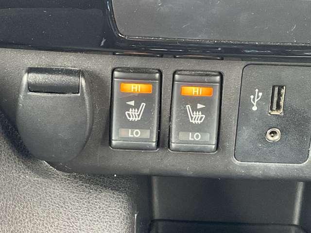 リーフ G メーカーナビ/プロパイロット/スマートルー(20枚目)