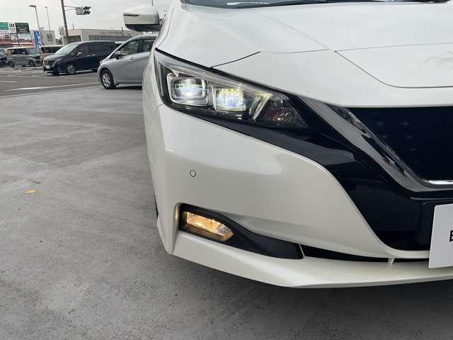 リーフ G メーカーナビ/プロパイロット/スマートルー(35枚目)