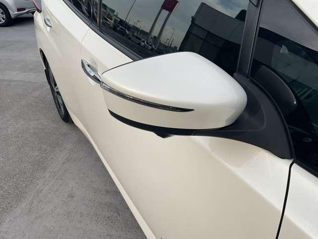 リーフ G メーカーナビ/プロパイロット/スマートルー(39枚目)