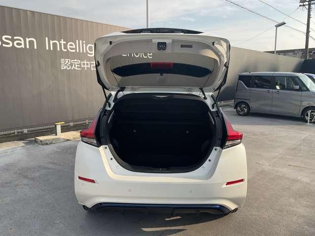 リーフ G メーカーナビ/プロパイロット/スマートルー(50枚目)