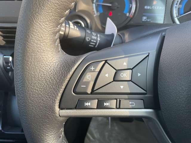 デイズ ６６０　ハイウェイスターＸ　プロパイロット　エディション　雹害車両（15枚目）