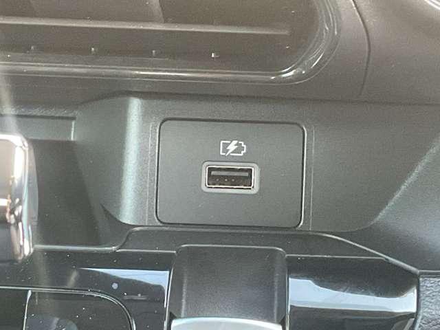 デイズ ６６０　ハイウェイスターＸ　プロパイロット　エディション　雹害車両（28枚目）