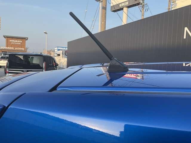 デイズ ６６０　ハイウェイスターＸ　プロパイロット　エディション　雹害車両（51枚目）