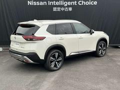 ѥͼϤΤ褦˵ǽŪˤޤȤޤäƤޤ󥯥꡼˥󥰺Ѥߤǡ⥭쥤Ǥ 2