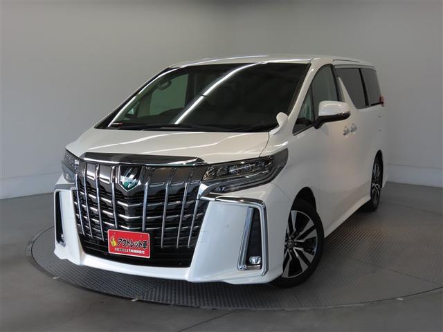 アルファード ２．５Ｓ　Ｃパッケージ　両側電動スライド　メモリーナビ　後席モニター　バックカメラ　ＤＶＤ再生　ミュージックプレイヤー接続可　衝突被害軽減システム　ＥＴＣ　３列シート　電動シート　スマートキー　ＬＥＤヘッドランプ　キーレス（21枚目）