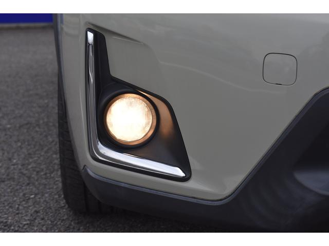 �t�H�O�����v�_����Ԃł��B