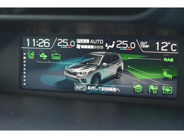 �C���p�l�������̃}���`�t�@���N�V�����f�B�X�v���C�i�l�e�c�j�ɂ͔R��E�q�����������\������܂��B