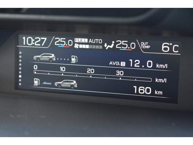 �C���p�l�������̃}���`�t�@���N�V�����f�B�X�v���C�i�l�e�c�j�ɂ͔R��E�q�����������\������܂��B