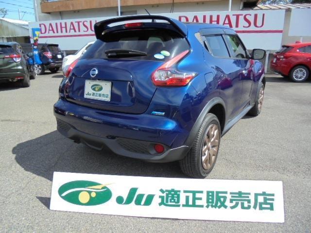 15RX 80thスペシャルカラーリミテッド ナビ(11枚目)