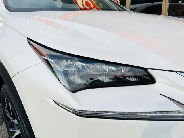 �݌Ɋm�F�ȂǂɊւ��ẮA���C�y�ɂ��₢���킹���������B