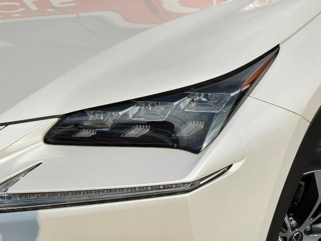 ���������܂��Đ��ɗL��������܂��I�I���񂲗��X���Ē����A���ۂɂ����ɂȂ��Ē�����΂Ǝv���܂��B���q�l����̂��A�����X�^�b�t�ꓯ�A�S��肨�҂����Ă���܂�