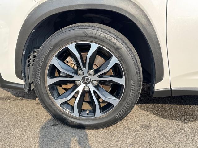 �[�Ԍ���C�����悭����蒸���܂��I�I