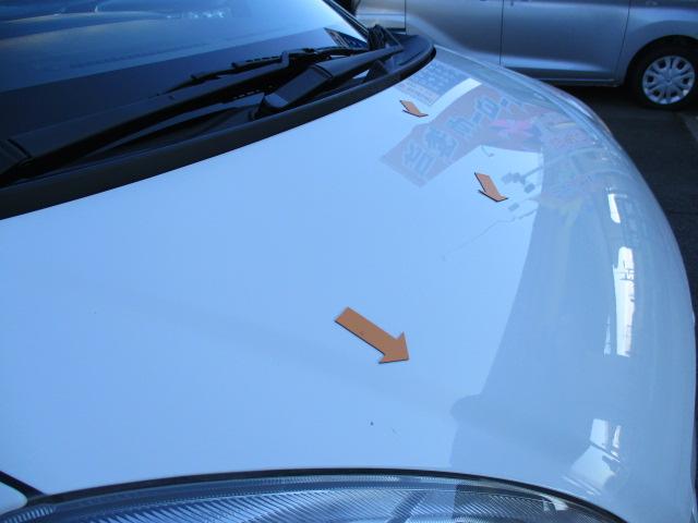 �{���l�b�g�ƃ��[�t�Ƀw�R�~�L�Y������܂���