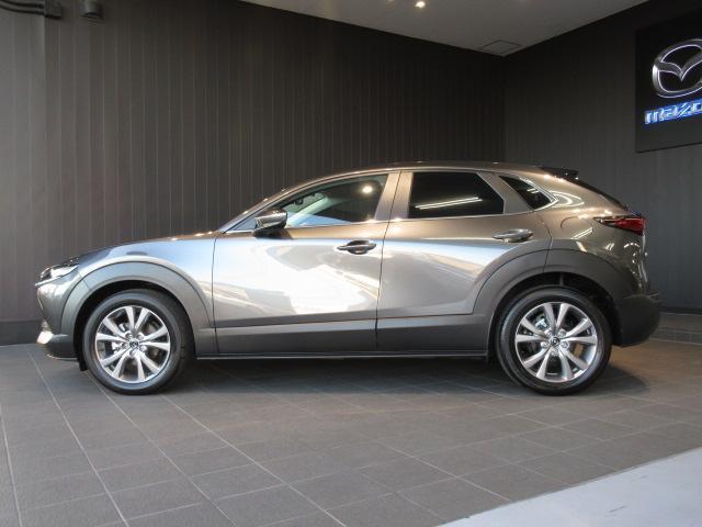 ＣＸ－３０ ２０Ｓ　ｉセレクション　衝突被害軽減システム　アダプティブクルーズコントロール　全周囲カメラ　オートマチックハイビーム　電動シート　シートヒーター　バックカメラ　オートライト　ＬＥＤヘッドランプ　Ｂｌｕｅｔｏｏｔｈ（10枚目）