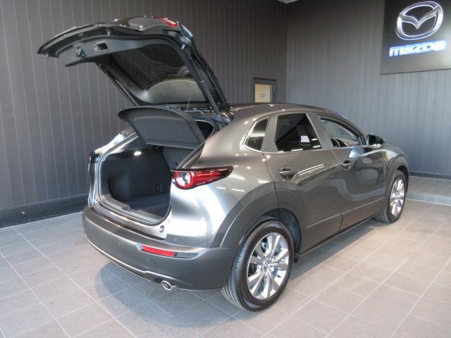 ＣＸ－３０ ２０Ｓ　ｉセレクション　衝突被害軽減システム　アダプティブクルーズコントロール　全周囲カメラ　オートマチックハイビーム　電動シート　シートヒーター　バックカメラ　オートライト　ＬＥＤヘッドランプ　Ｂｌｕｅｔｏｏｔｈ（19枚目）