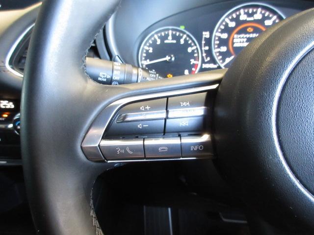 ＭＡＺＤＡ３ファストバック １５Ｓツーリング　衝突被害軽減システム　アダプティブクルーズコントロール　全周囲カメラ　オートマチックハイビーム　バックカメラ　オートライト　ＬＥＤヘッドランプ　ＥＴＣ２．０　Ｂｌｕｅｔｏｏｔｈ（17枚目）