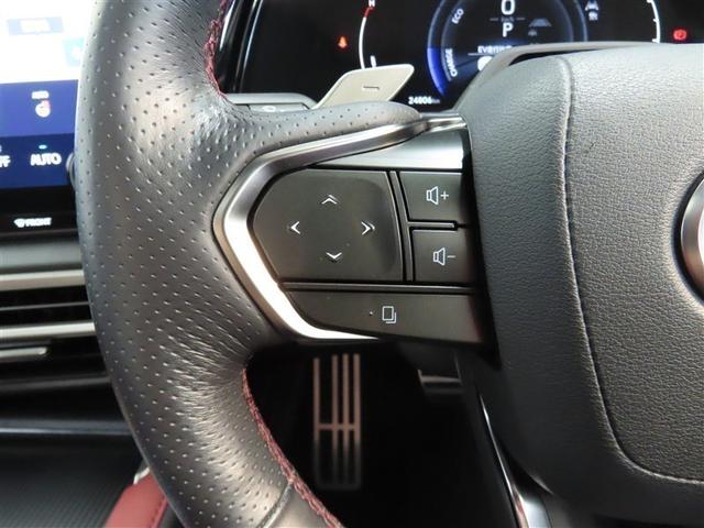 RX RX500h Fスポーツパフォーマンス 4WD 革シート サンルーフ ハイブリッド ナビ&TV メモリーナビ フルセグ バックカメラ ドラレコ ミュージックプレイヤー接続可 衝突被害軽減システム ETC 電動シート スマートキー 寒冷地(32枚目)