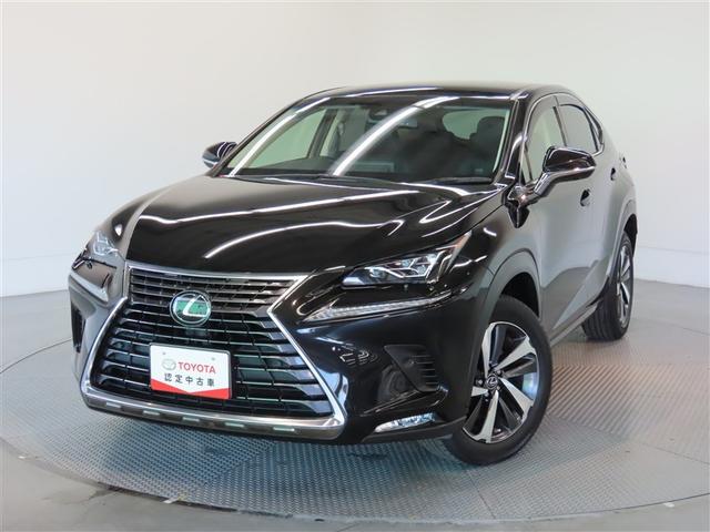 ＮＸ ＮＸ３００　バージョンＬ　革シート　ナビ＆ＴＶ　メモリーナビ　フルセグ　バックカメラ　ＤＶＤ再生　ミュージックプレイヤー接続可　衝突被害軽減システム　ＥＴＣ　電動シート　スマートキー　ＬＥＤヘッドランプ　アイドリングストップ（21枚目）