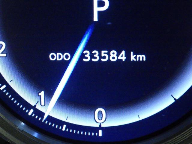 ＲＸ ＲＸ３００　Ｆスポーツ　衝突被害軽減システム　メモリーナビ　フルセグ　バックカメラ　ＥＴＣ　ドラレコ　ＣＤ　ミュージックプレイヤー接続可　ＤＶＤ再生　サンルーフ　革シート　電動シート　オートクルーズコントロール　スマートキー（28枚目）