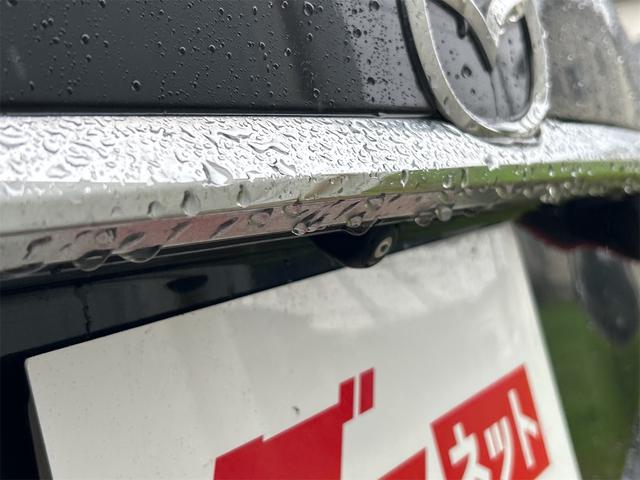 アテンザワゴン ＸＤ　プロアクティブ（24枚目）