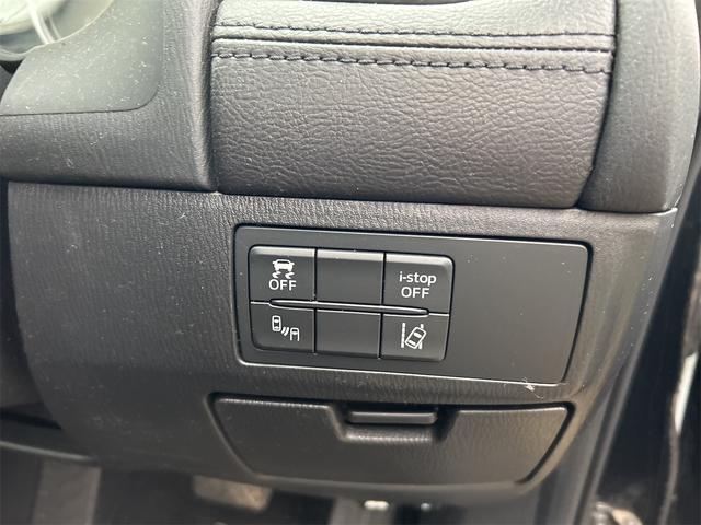 アテンザワゴン ＸＤ　プロアクティブ（55枚目）