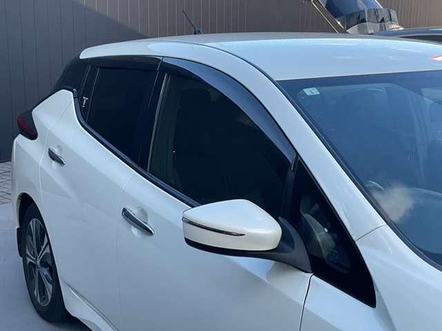 リーフ X 10万台記念車 メーカーナビ バックカメラ ETC アダプティブクルーズコントロール ナビTV ワンオーナー車 Bカメラ レーンキープアシスト 衝突軽減ブレーキ LEDヘッド ドラレコ キーフリー イモビライザー インテリジェントキー ETC 記録簿(6枚目)