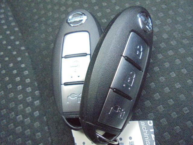 X (30kwh) 【バッテリー容量11セグ】(12枚目)