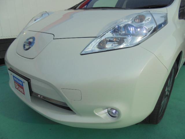 X (30kwh) 【バッテリー容量11セグ】(16枚目)