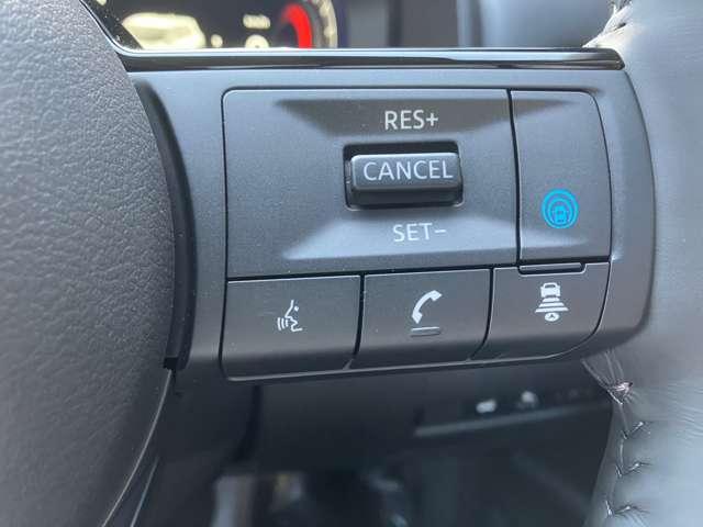 �v���p�C���b�g�����I�������H�̉^�]�ŁA�A�N�Z���A�u���[�L�A�n���h���̑�����A�V�X�g���A�h���C�o�[�̕��S���y�����܂��B