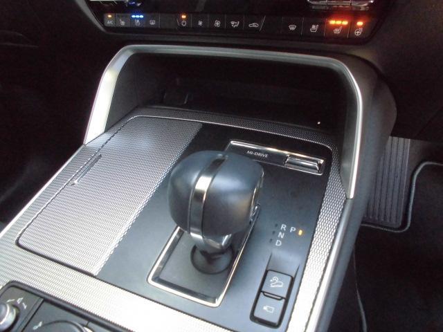 �W���ւ̑��i���ɂ���āA�Ȃ߂炩�ŉ����̗ǂ��ϑ��ƃ_�C���N�g�ȑ��s���\�������B