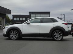 ץ쥹饤Ӥ̤Υɥӥ塼ȿͤʿαǤߤưɽƤޤ 3