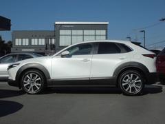 ץ쥹饤Ӥ̤Υɥӥ塼ȿͤʿαǤߤưɽƤޤ 3