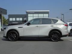 ʬ�����ե���ȥե������Ƚ��֤��쥤�����Ȥʤ�ǤϤΥ��󥰥Ρ��������硼�ȥǥå��ˤ�롢�϶�����ưŪ�ʹ��ʡ� 3