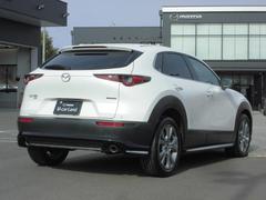 �ʤ���ޤ줿����ӥ󤫤��礭��ĥ��Ф����ե���������礭�����Ӥ줿�ꥢ�����Ȥʤɡ��ű�����Ϥ���ꥢ�ӥ塼�ȤʤäƤ��ޤ��� 2