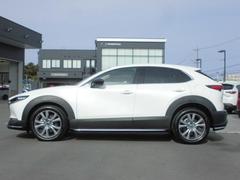 �ץ쥹�饤�������Ӥ������������̤Υ����ɥӥ塼������ȿ�ͤ�ʿ��αǤ���ߤ�ư����ɽ�����Ƥ��ޤ��� 3