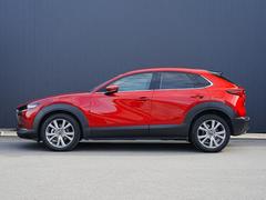 �ץ쥹�饤�������Ӥ������������̤Υ����ɥӥ塼������ȿ�ͤ�ʿ��αǤ���ߤ�ư����ɽ�����Ƥ��ޤ��� 3