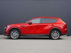 ��ư�ǥ�����Τ���ʤ뿼���ȿʲ����Ҥ��ܤǴ������롢��������������󥰡� 3