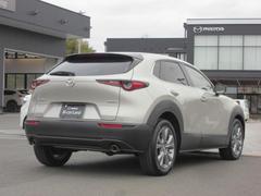 �ʤ���ޤ줿����ӥ󤫤��礭��ĥ��Ф����ե���������礭�����Ӥ줿�ꥢ�����Ȥʤɡ��ű�����Ϥ���ꥢ�ӥ塼�ȤʤäƤ��ޤ��� 2