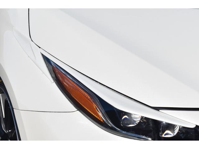 �w�b�h���C�g�K�[�j�b�V��