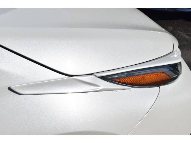 �w�b�h���C�g�K�[�j�b�V��