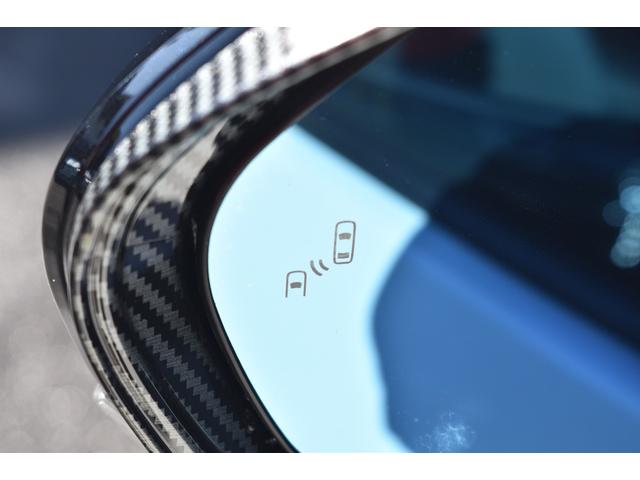 �u���C���h�X�|�b�g���j�^�[