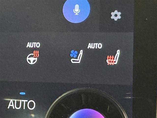 アルファードハイブリッド Ｚ　メモリーナビ　ミュージックプレイヤー接続可　バックカメラ　後席モニタ　サンルーフ　パワーシート　ドライブレコーダー（19枚目）